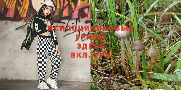 амф Алексеевка