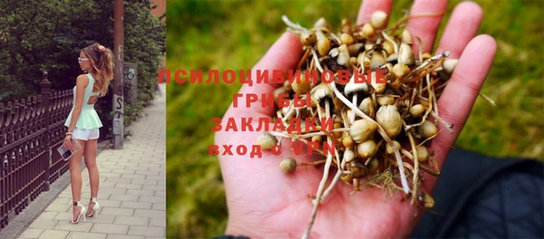 амф Алексеевка