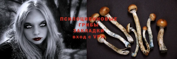 не бодяженный Алзамай