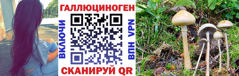 Галлюциногенные грибы мицелий  купить наркотик  Лабинск 