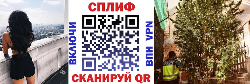 Марихуана план Лабинск